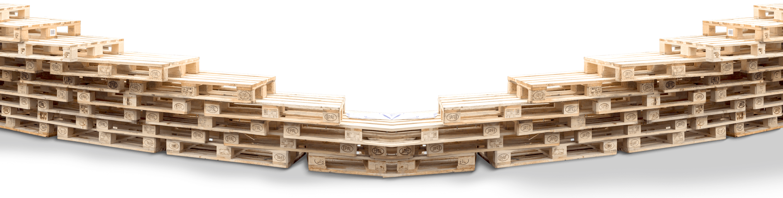 Base Domo