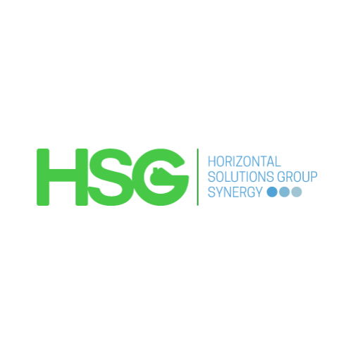 HORIZONTAL SOLUTIONS GROUP SYNERGY