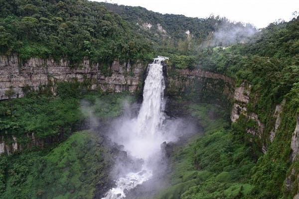 RIO7