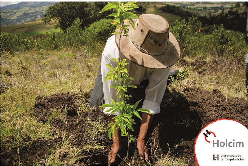 Minga de Reforestacion