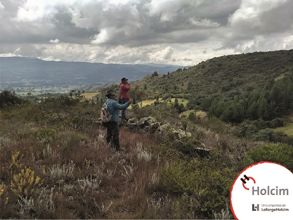 Zonas a Reforestar