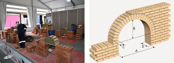 construyendohabilidades4